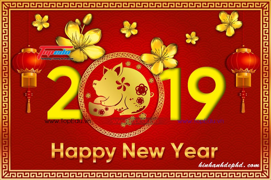 Topedu chúc mừng năm mới 2019 và thông báo lịch nghỉ tết.